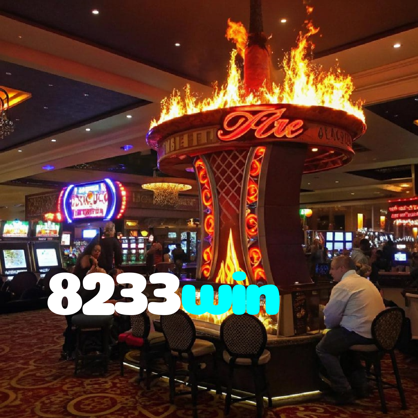 8233win
